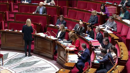 1ère séance : Protection des victimes de violences conjugales (suite) - Mercredi 29 janvier 2020