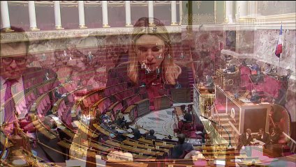 3ème séance : Protection des victimes de violences conjugales (proposition de loi) (suite) - Mardi 28 janvier 2020