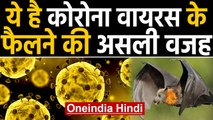 Corona Virus के फैलने की क्या है असली वजह, 16 countries में फैल चुका है वायरस | Oneindia Hindi