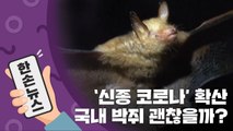 [15초뉴스] '신종 코로나' 확산...국내 박쥐는 괜찮을까? / YTN