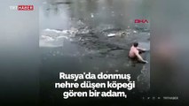 Donmuş nehre düşen köpeği böyle kurtardı