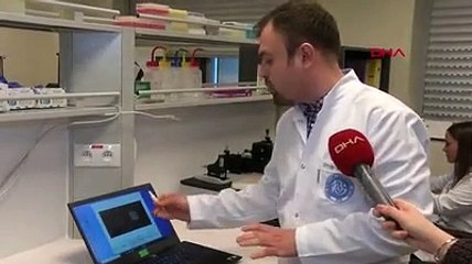 Domuz gribini beş dakikada tespit edecek cihaz geliştirdiler