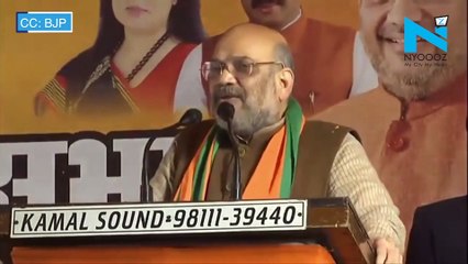 Kejriwal is the biggest liar I have seen in my life: Amit Shah