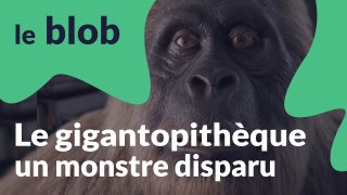 Le gigantopithèque | Monstres disparus
