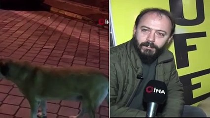 Soğuk Kış Günü İnsanın İçini Isıtan Hareket