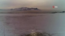 Sıhke Gölü'nün Yüzeyi Buzla Kaplandı, Binlerce Martı Aç Kaldı