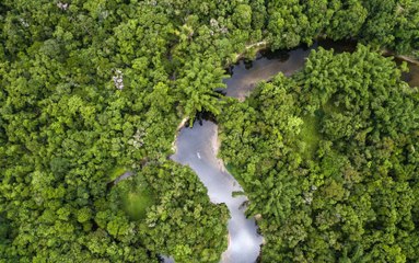 Cette famille a survécu un mois, perdue en Amazonie