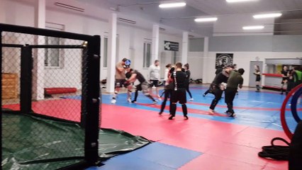 MMA :  On va enfin pouvoir exprimer notre art en France