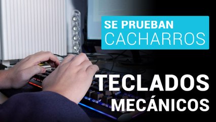 ¿Qué son los teclados mecánicos? Comparamos los Drevo Blademaster TE, Logitech G Pro X