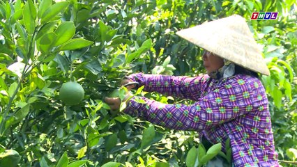 Thắp sáng niềm tin - Kỳ 538: Nguyễn Thị Huỳnh Như