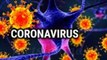 कोरोना वायरस का खतरा अब भारत में भी  Corona Virus in India 
