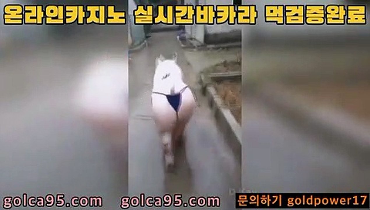 먹검@,.@바카라사이트추천- ( Ε禁【 golca88 。ＣoＭ 】銅) -바카라사이트추천 인터넷바카라사이트 온라인바카라사이트추천 온라인카지노사이트추천 인터넷카지노사이트추천@,.@먹검