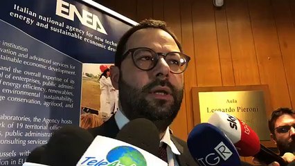 Patuanelli - Punto stampa da Frascati (29.01.20)