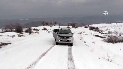 Yaban hayatı için doğaya yem bırakıldı