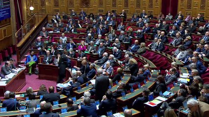QAG - Michel VASPART : "Quand comptez-vous ramener la confiance et la sérénité dans notre pays qui en a tant besoin ?"