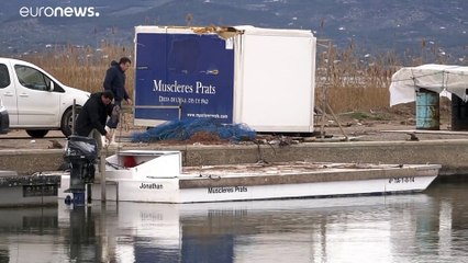 Los grandes perjudicados por la borrasca Gloria en el Delta del Ebro