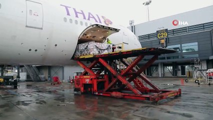 - UNICEF, Çin'e yardım malzemesi gönderdi