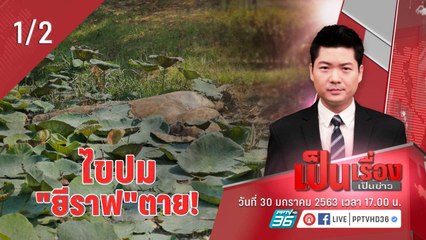 เป็นเรื่องเป็นข่าว | “เป็นเรื่องเป็นข่าว” – ไขปม! การตาย “ยีราฟ” (1/2)