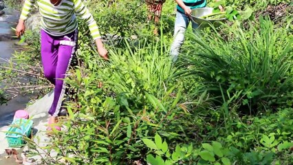 Amazing catches snake In Battambang