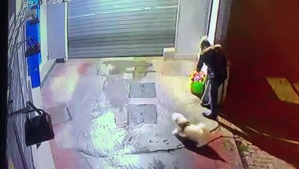 Filmée en train de déposer un sac de déchets dans un car-wash