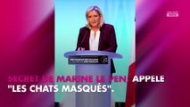 Marine Le Pen : Son compte Instagram sur ses chats crée le buzz