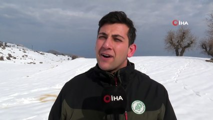 Siirt’te yaban hayvanları için doğaya yem bırakıldı