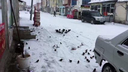 Karlıova beyaza büründü