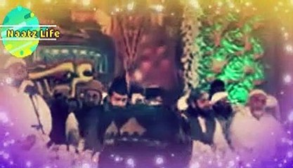 Qurban Main Unki Bakhshish Kay Heart Toching Naat By Zulfiqar Ali Hussaini