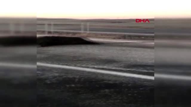 Kırşehir ölü domuzu otomobiliyle sürükleyen sürücüye 264 lira para cezası-arşiv