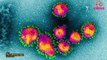 0:00 / 7:43 जानिए Coronavirus के बारे में, जो China के बाद India भी आ सकता है | Wuhan Virus | Symptoms