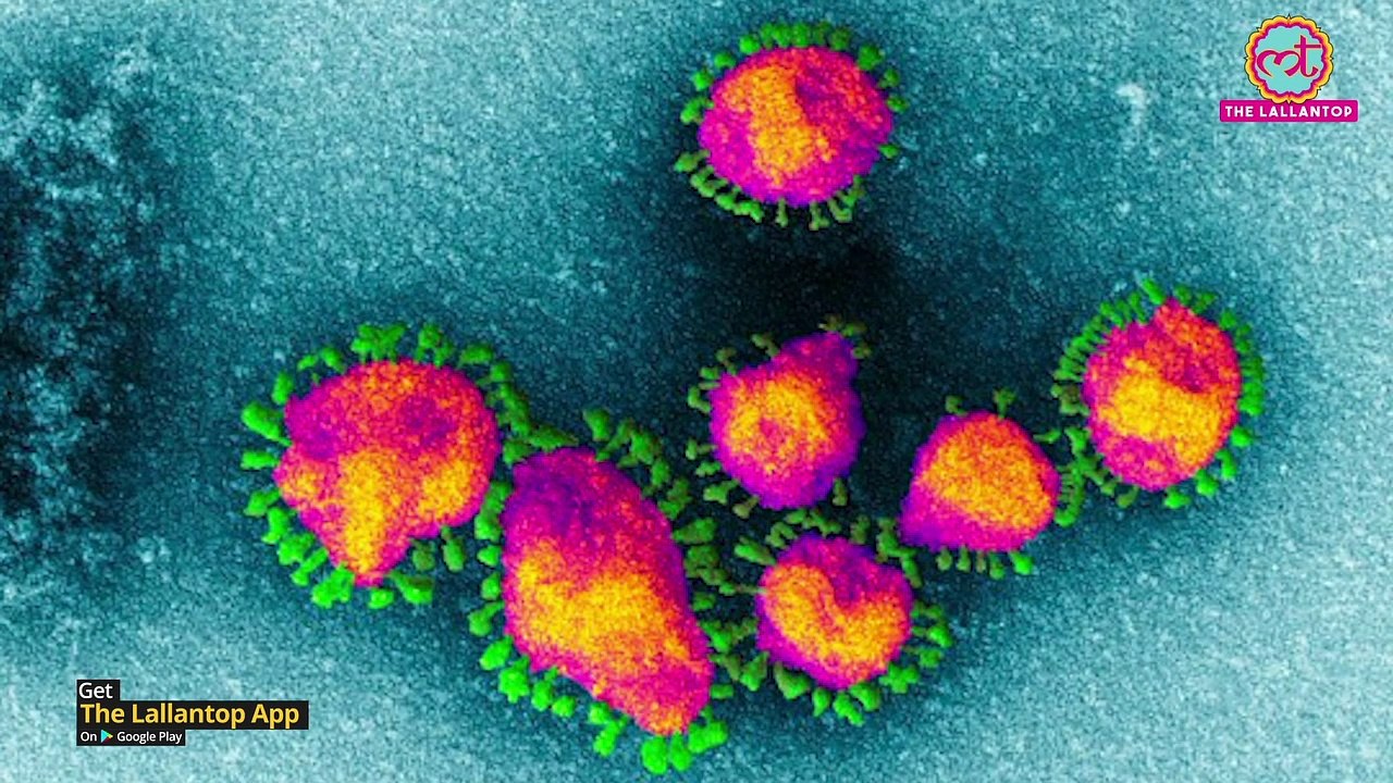 0:00 / 7:43 जानिए Coronavirus के बारे में, जो China के बाद India भी आ सकता है | Wuhan Virus | Symptoms