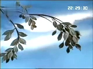 Chinese traditional ink painting animation: "Grandma's Date Tree"