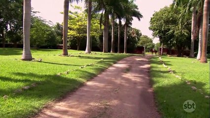 Abismo de Paixão - Capitulo 112 (29.01.20)