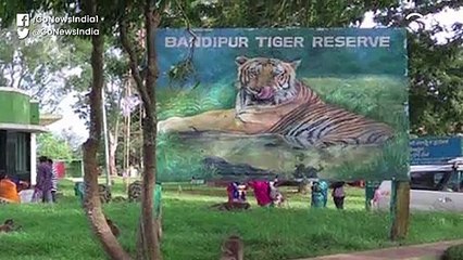 रजनीकांत के साथ बेयर ग्रिल्स के मैन वर्सेस वाइल्ड की शूटिंग का विरोध क्यों?