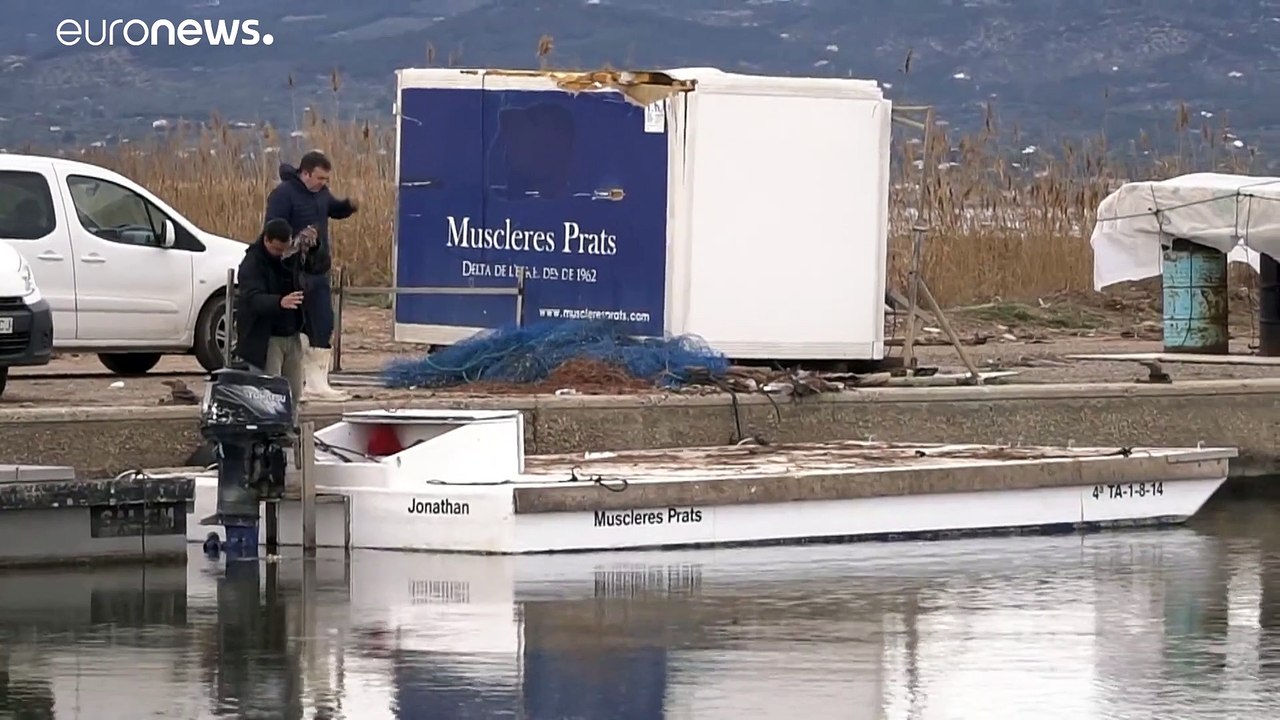 Sturmschäden durch 'Gloria': Bauern in Spanien stehen vor dem Ruin