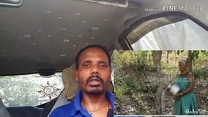 ತುಳಸಿ ಗೌಡ ಮತ್ತು ಪದ್ಮಶ್ರೀ ಪ್ರಶಸ್ತಿ ಮತ್ತು ಸರ್ಕಾರ