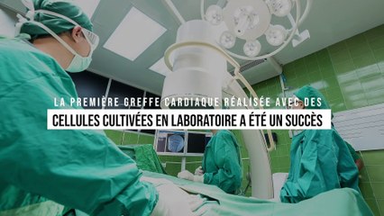 La première greffe cardiaque réalisée avec des cellules cultivées en laboratoire a été un succès