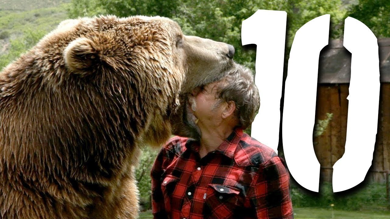 10 najgłupszych śmierci - nagrody DARWINA 6 [TOPOWA DYCHA]