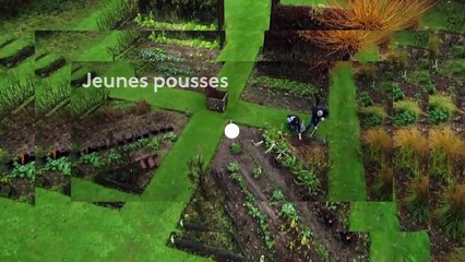 [BA] Silence, ça pousse ! - Tous les vendredis à 22h20
