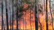 Scorching Temps And High Winds Bring Renewed Wildfire Threats To Australia