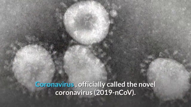 What is corona virus 2020 | what is coronavirus 2020| china corona virus | corona virus facts vs fiction | Tips about coronavirus | 3 Coronavirus symptoms you need to know / wuhan coronavirus 2020