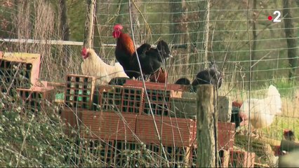 Campagne : un maire veut classer les bruits ruraux au patrimoine national