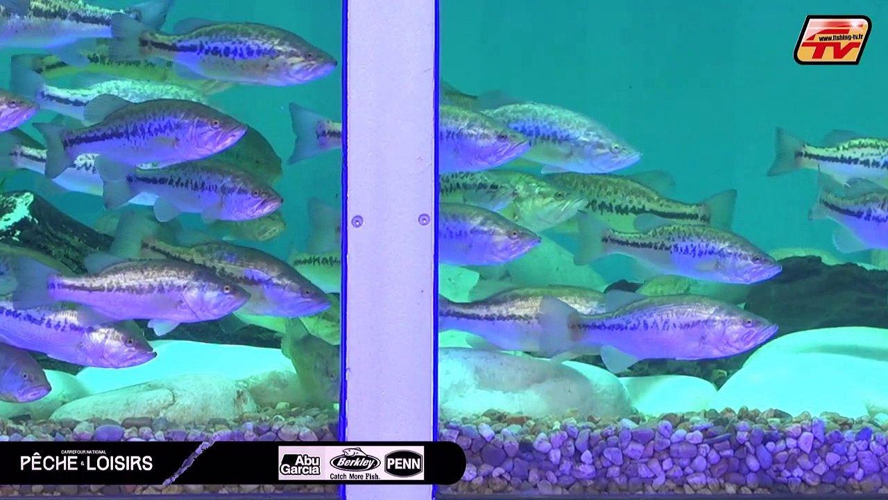 ABBU GARCIA - CNPL 2020