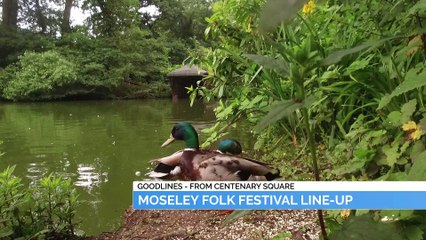 GOODLINES: 31st January 2020