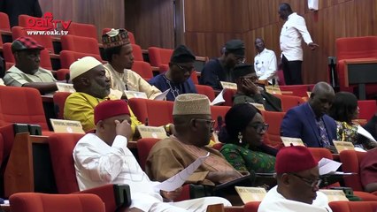 What Omo-Agege said about Amotekun, Hisbah, civilian JTF others