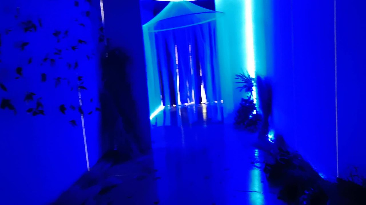 Découverte du mystérieux tunnel menant au salon Portails de l'Imaginaire