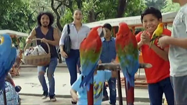 Cardo, ipinaalam ang kanyang planong panliligaw kay Alyana