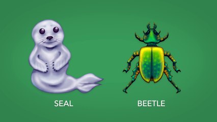 117 nouveaux émojis débarquent en ce début d'année