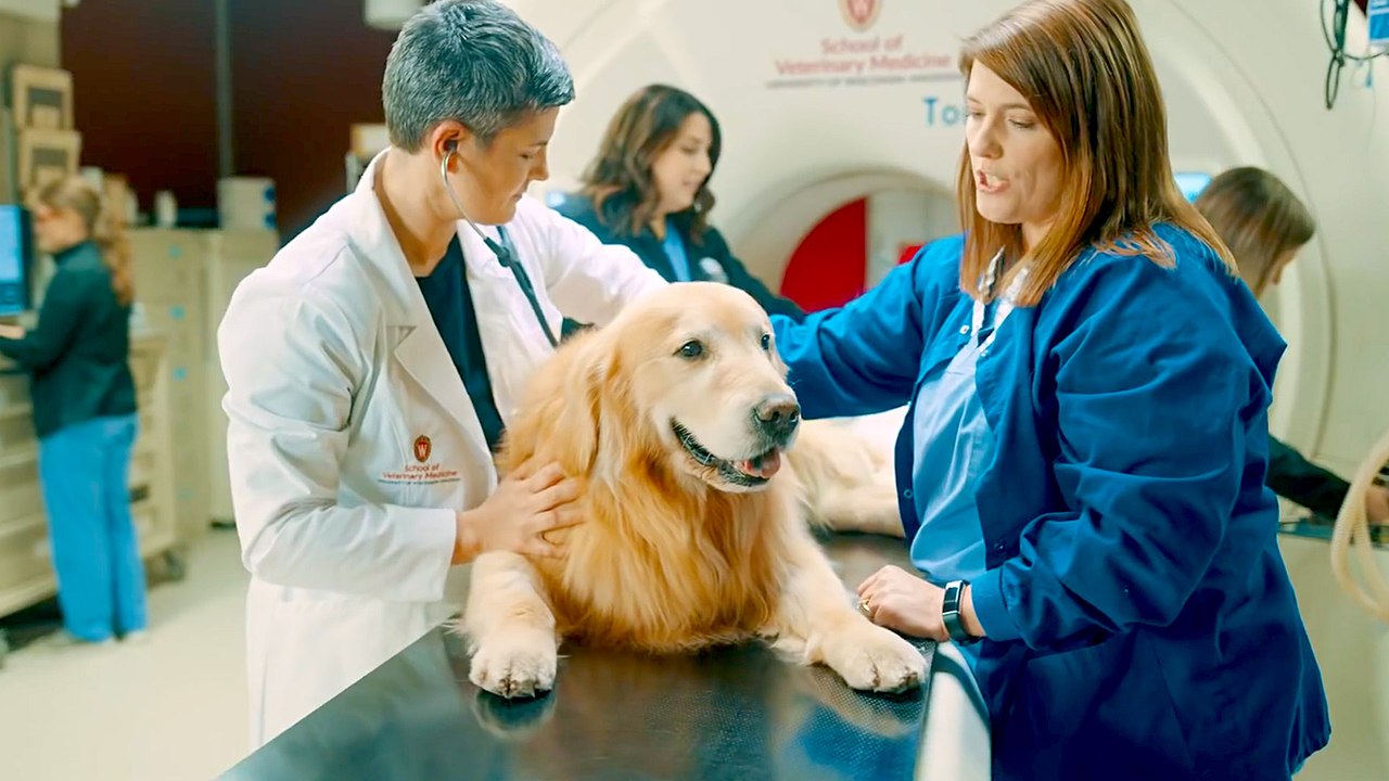 WeatherTech "Lucky Dog" Super Bowl Commercial 2020