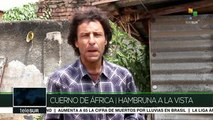 Plaga de langostas afecta diversas regiones de Kenia